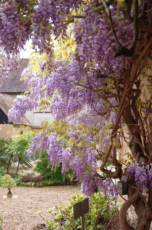 La Chaiserie La Croix-Saint-Leufroy Zewnętrze zdjęcie